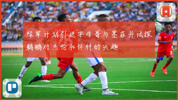 绿军计划引进字母哥与墨菲并试探鹈鹕对杰伦和怀特的兴趣